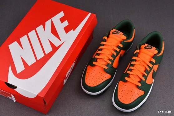 Low Miami Nike Dunk Hurricanes DD1391-300 0118